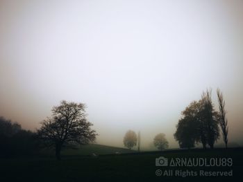 Trees on field against clear sky