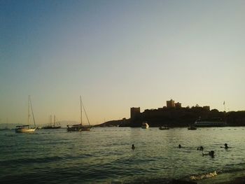 Boats in harbor