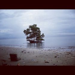 Scenic view of sea against cloudy sky