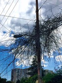 Low angle view of bare tree against cloudy sky