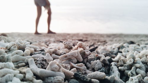 Low section of person on pebbles at beach against sky