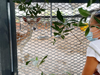 Portrait of woman seen through chainlink fence