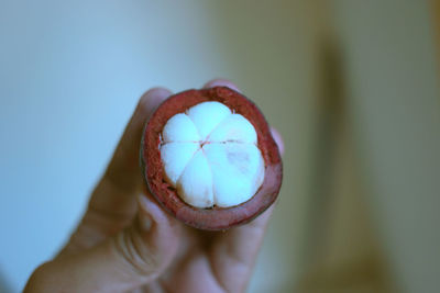 Close-up of hand holding mangosteen