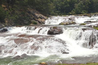 Scenic view of waterfall in forest