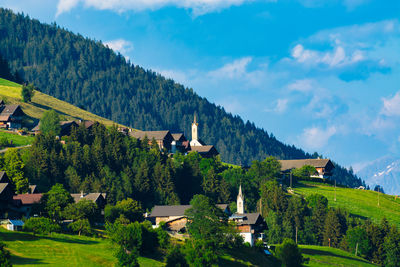 Panoramic shot of trees on landscape against sky