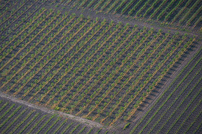 Full frame shot of road
