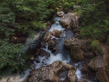 Stream flowing through rocks in forest