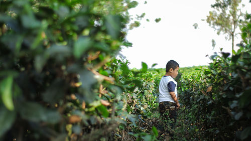 Searching for meaning