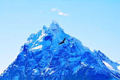 Low angle view of bird flying against snowcapped mountain