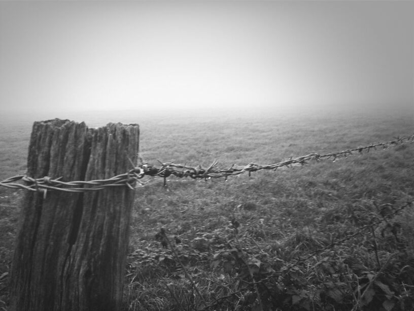 tranquility, tranquil scene, nature, sea, scenics, wooden post, landscape, field, beauty in nature, sky, horizon over water, plant, fence, protection, growth, water, rural scene, no people, outdoors, remote