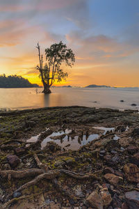 Scenic view of sea against sky during sunset