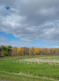 Scenic view of grassy field against cloudy sky