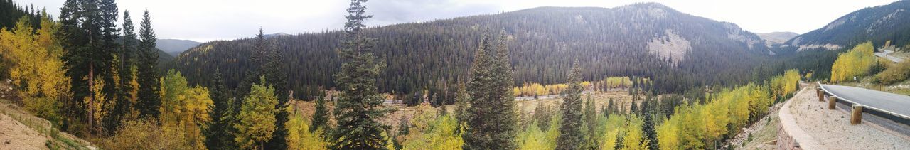 Panoramic view of trees in mountains against sky