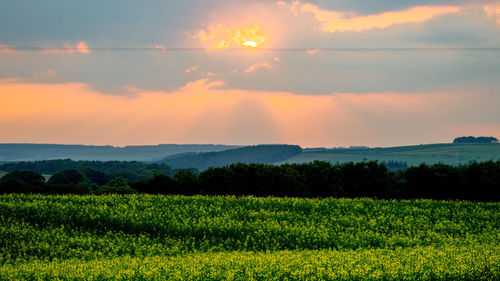 Scenic view of field against sky during sunset