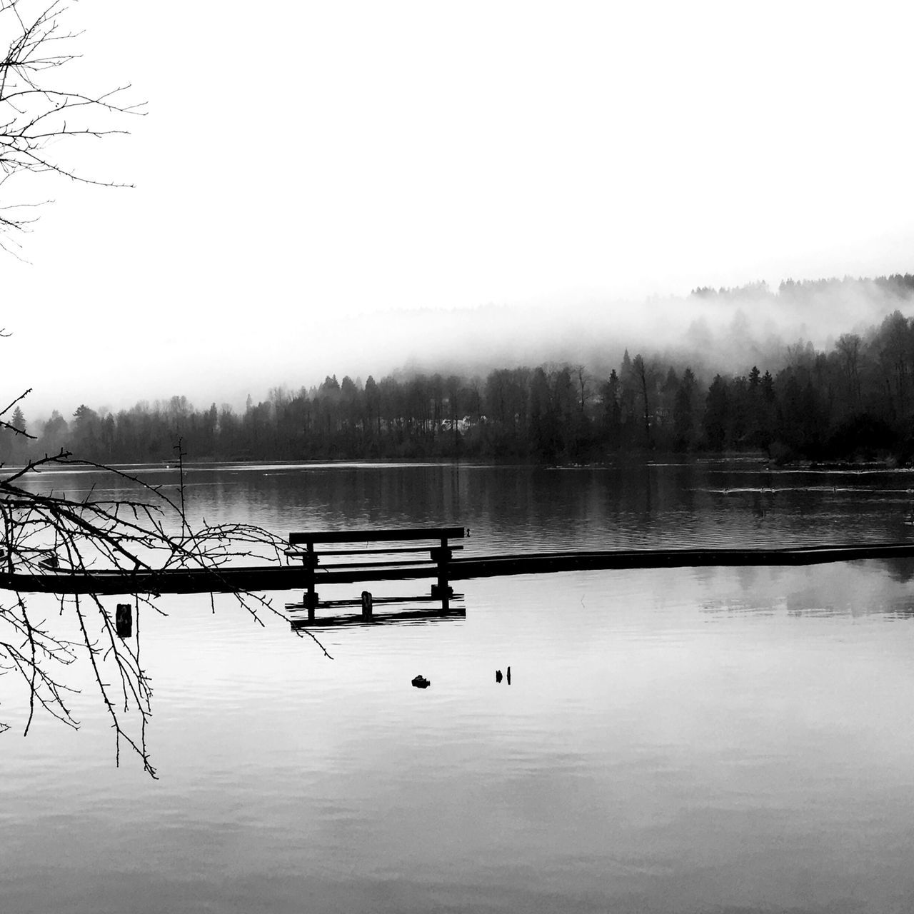 water, lake, clear sky, copy space, tranquility, tranquil scene, scenics, nature, beauty in nature, river, transportation, foggy, tree, nautical vessel, waterfront, reflection, weather, sky, mode of transport