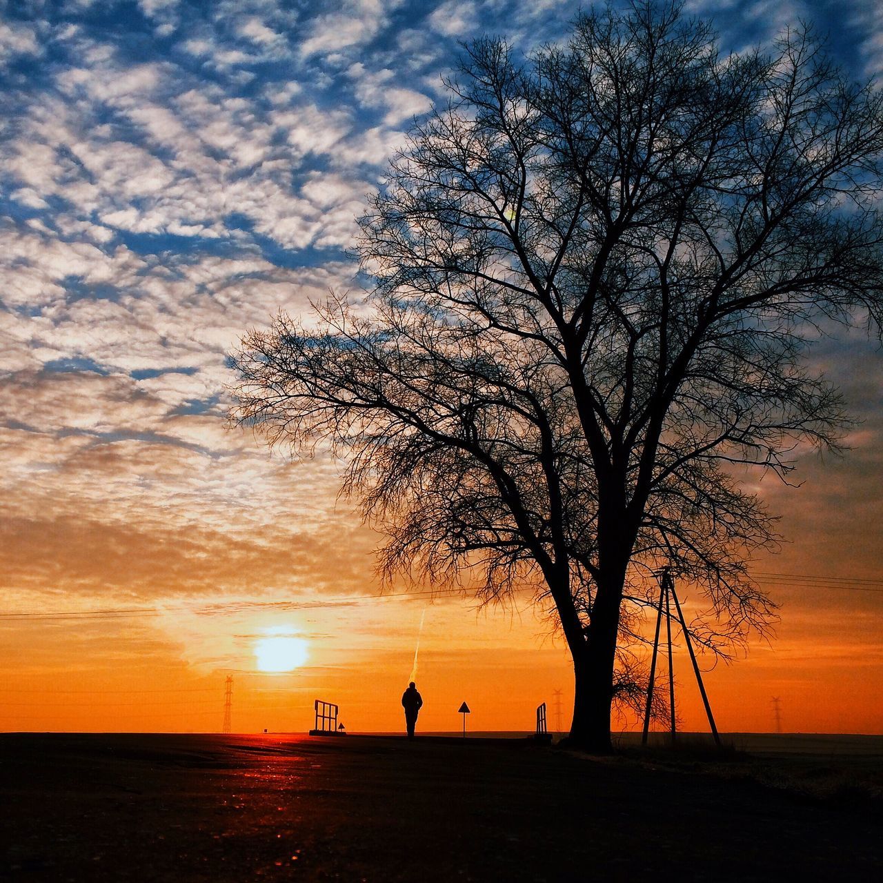 sunset, silhouette, sky, orange color, scenics, tranquil scene, tranquility, beauty in nature, tree, water, bare tree, nature, idyllic, cloud - sky, sun, horizon over water, cloud, sea, branch