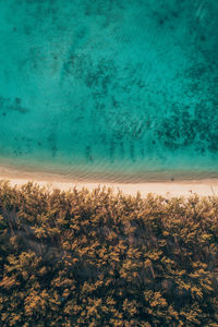 High angle view of beach