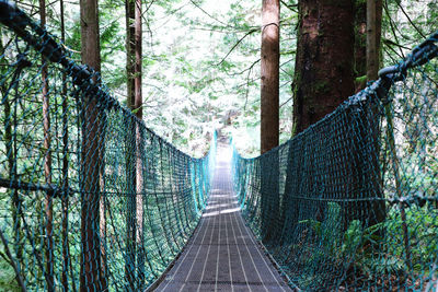 Footbridge amidst trees in forest