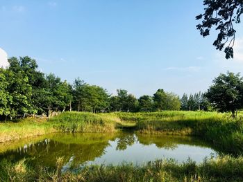 Scenic view of lake against sky