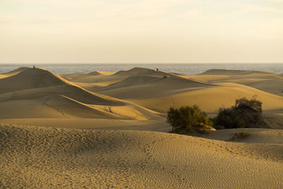 Scenic view of desert against sky