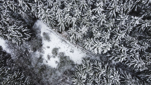 High angle view of snow covered land