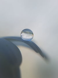 Close-up of water over white background