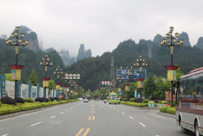 Vehicles on road by street lamp with trees during foggy day