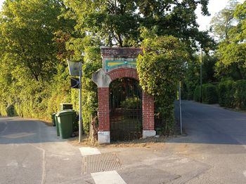 Empty footpath along trees