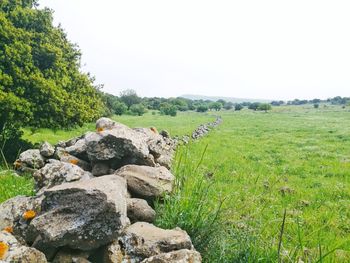 Rocks on field against sky