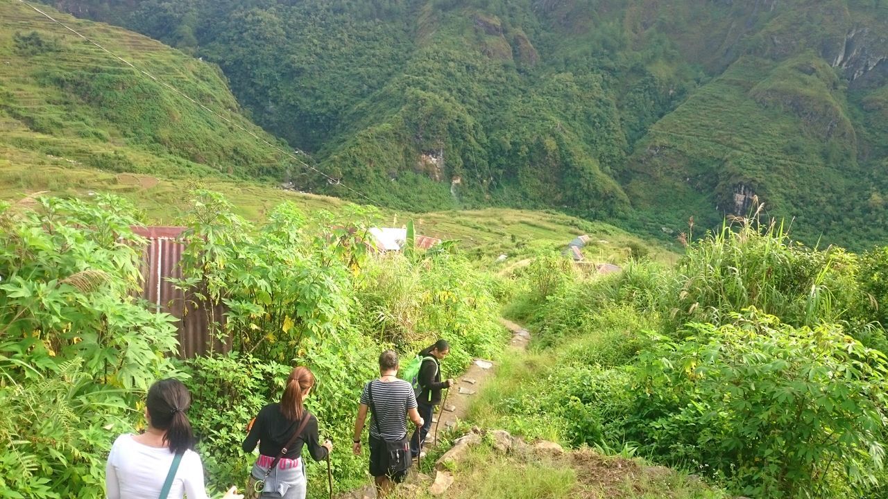 LOW SECTION OF PEOPLE WALKING ON GREEN TREE