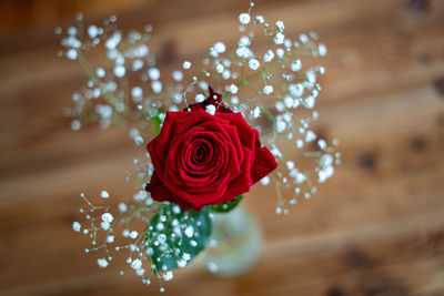 Rose on wodden table from above