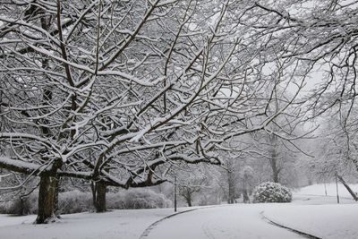 Road passing through snow covered landscape