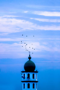 Birds flying over a building