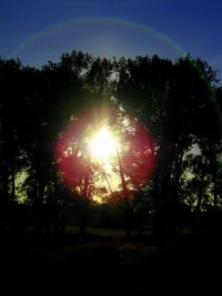 Silhouette trees against clear sky during sunset