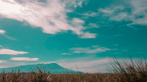 Scenic view of sea against blue sky