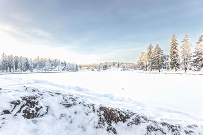 snow
