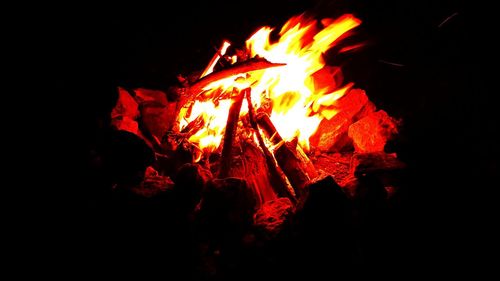 Campfire at night