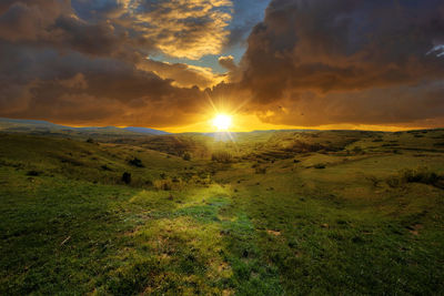 Scenic view of field against sky during sunset