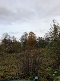 Trees growing on field against sky during autumn