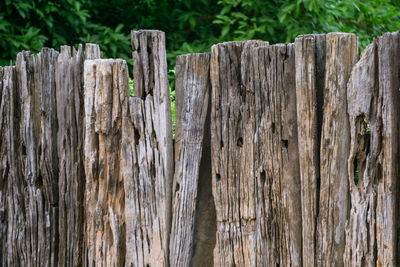 Close-up of wooden fence against trees