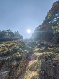 environment