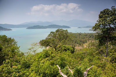 Scenic view of lake by trees against sky