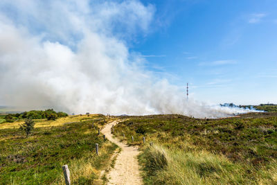 Controlled burning of old and dry heather at morsum cliff, germany.