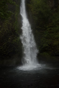 View of waterfall in forest