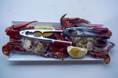 Cut boiled blue crab lies on a white plate with tongs on the table in a restaurant in dalyan