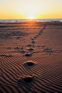 Scenic view of footprints in the sand on the beach during sunset