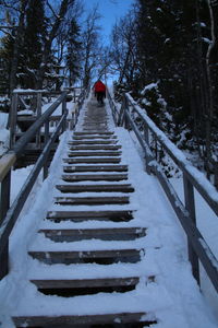 Staircase amidst snow covered trees during winter