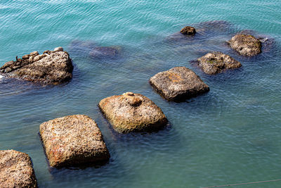 The waves break at the entrance to the port of ortigia, siracusa.