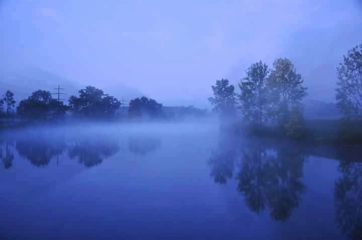 tranquil scene, tranquility, tree, scenics, lake, water, beauty in nature, reflection, nature, waterfront, idyllic, sky, fog, blue, calm, dusk, growth, non-urban scene, standing water