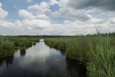 Scenic view of grassy field against cloudy sky